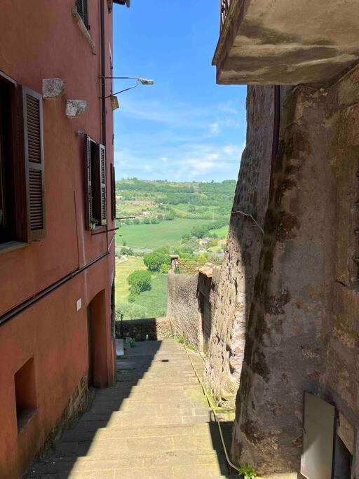 Appartamento Nel Borgo Orte Eksteriør billede